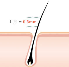 1日にわずか0.5mmしか伸びない髪