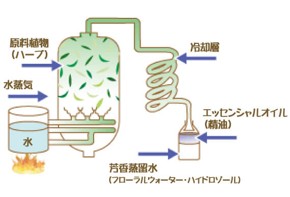 水蒸気蒸留法