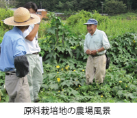 原料栽培地の農場