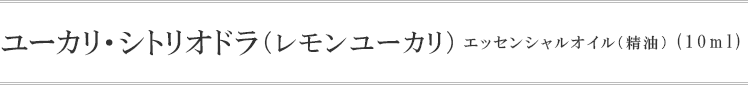 ユーカリ・シトリオドラ(レモンユーカリ)