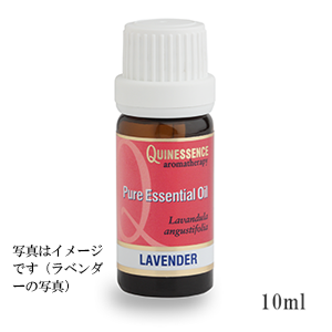 ローズ・アブソリュート5% ホホバ希釈(10ml)