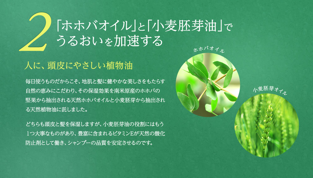 2.「ホホバオイル」と「小麦胚芽油」で   うるおいを加速する