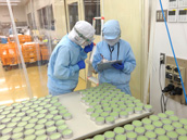 各工程で入念にチェック