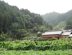 清流の流れる山村へ