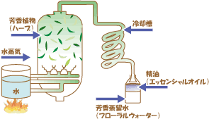 芳香蒸留水（フローラルウォーター）