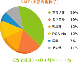 11種類のアミノ酸成分配合