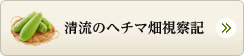 清流のヘチマ畑視察記